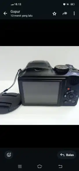 Camera Fuji Film fine pik 4600