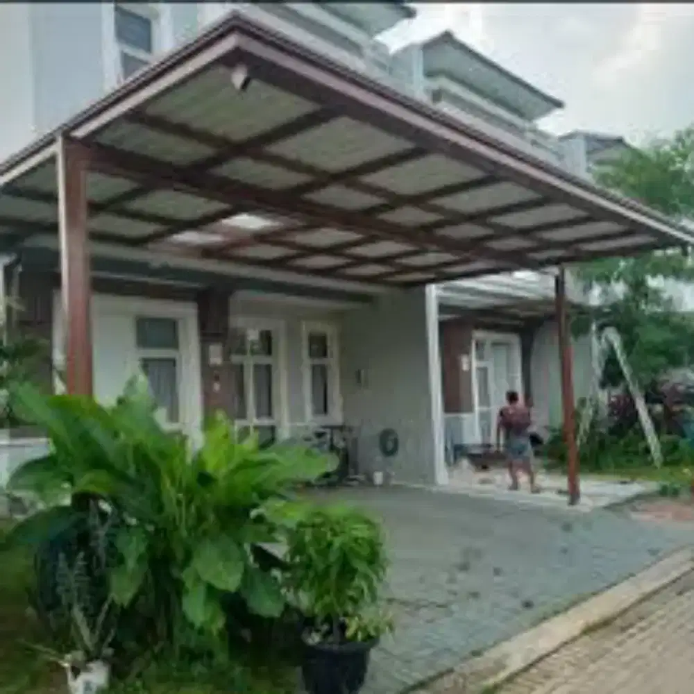 Canopy singgel layer