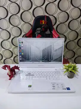 ASUS TUF DASH F15 FX516PC [RAM 16GB/SSD 512GB VGA RTX 3050]
