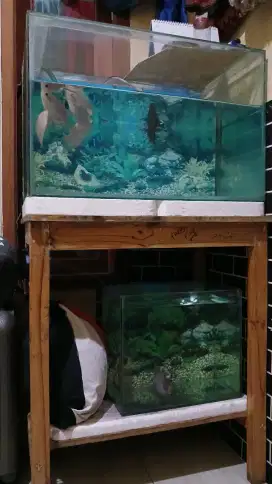 Aquarium fullset