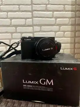 JUAL KAMERA MIRORLESS PANASONIC LUMIX GM5W