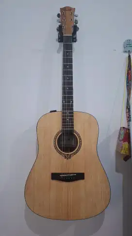 JUAL GITAR AKUSTIK DLUXE D-110