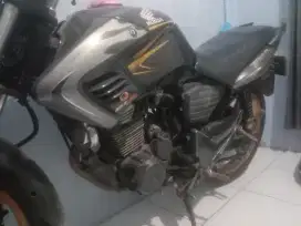 Tiger Revo 2008