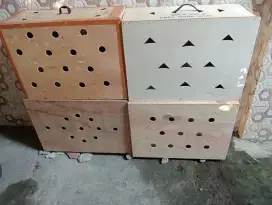 Box untuk kirim ayam seperti baru