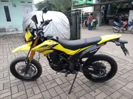 Dtracker se 2022 kuning