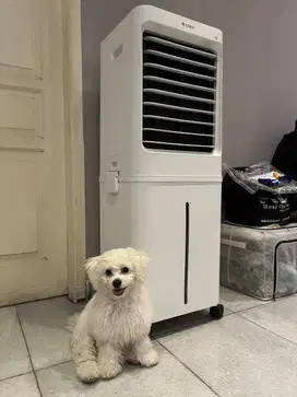 Ruangan Dingin tanpa AC Gree Kipas angin Air cooler penyejuk udara fan