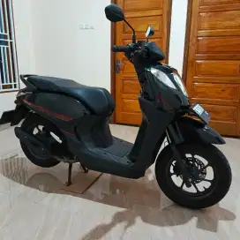 Honda genio tahun 2024