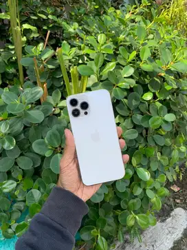 Iphone 13 promax 256gb ibox