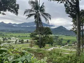 Dijual tanah kavling dengan harga terjangkau