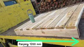 Pallet Two way Lokal