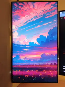 PHILIPS Full HD Monitor - 242E2FE