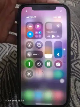 IP 12 pro 256 inter