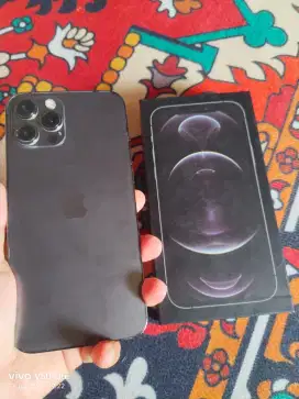 Dijual iphone 12 promax bea cukai 256 gb