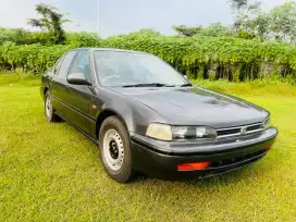 Honda accord maestro