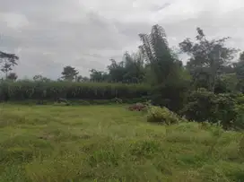 Jual Cepat Tanah SHM Lokasi Jedong Wagir, Harga Terjangkau