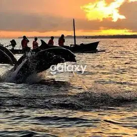 Dijual Tanah Dekat Pantai Lovina Bali paling MURAH