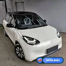 [Mobil Baru] PROMO BINGUO EV BARU  HANYA DP 5 JUTA