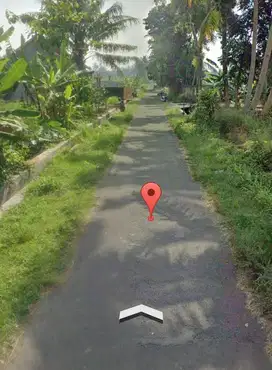 Tanah tegalsari Trimulyo sleman jogja