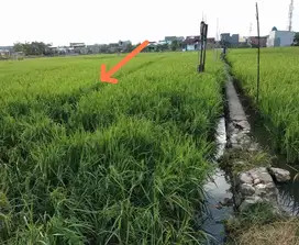 Tanah Produktif 5x20 tengah Kota Makassar