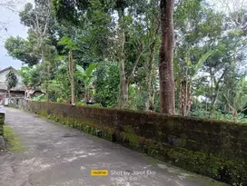 TANAH JUMENENG MLATI SLEMAN