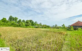 HP-NBL04 Tanah Sawah SHM, Dijual di Panji, Buleleng