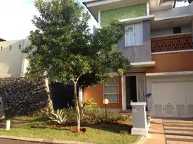 Sh.169 DISEWAKAN CEPAT ! Rumah Bagus Siap Huni di Pondok Hijau Golf