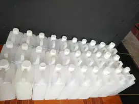 kutu mati kering