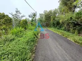 Di jual tanah kebun cengkeh dengan view laut Buleleng bali