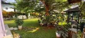 Rumah di daerah ciputat seperti di villa