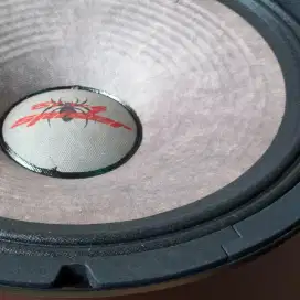 Speaker black spider 12 in