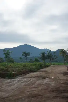 Dijual tanah kavling dengan lokasi yang strategis