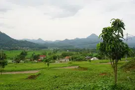 Jual tanah kavling dengan lokasi yang strategis