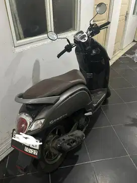 Scoopy stylish th 2017