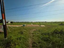 Jual Tanah SHM di Zona Industri Kedawung, Tanjung, Brebes