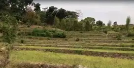DIJUAL TANAH KEMIRI PACET MOJOKERTO RON.A2216