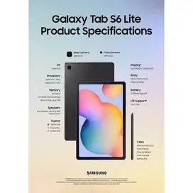 Galaxy tab S6 Lite
