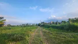 Tanah Strategis Merjosari Promo, Siap Bangun Kost Dekat Kampus
