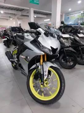 R15 V4 MESN OK GUYSS