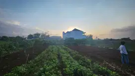 Tanah Murah Merjosari, Akses Mudah ke UB, UMM, UNISMA