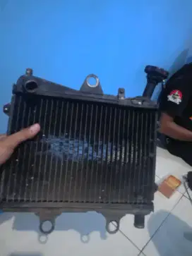 Radiator ori + Velg ninja ring 17