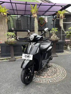 Grand filano tahun 2023