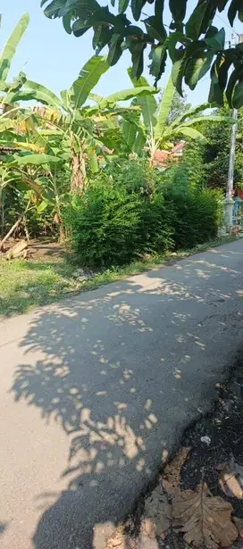 Jual tanah pinggir jalan