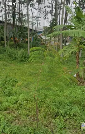 Dijual Tanah Bawen- Ambarawa pinggil jalan