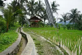 Dijual tanah kavling dengan harga terjangkau
