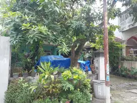 Jual Cepat Dua Unit Rumah Murah di Balongsari dan Lakarsantri