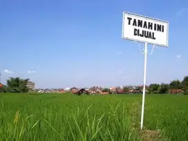 KAVLING SAN DIEGO LANGKA JARANG ADA YANG DIJUAL