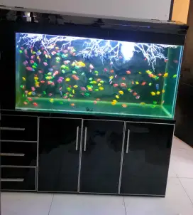 AQUARIUM 1 SET 150 CM.