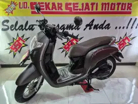 Scoopy esp remote stylist