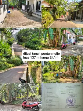 Tanah puntan ngijo gunungpati unnes semarang
