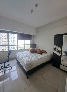 disewakan studio bagus furnished view kolam di Summarecon Bekasi